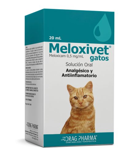 Meloxivet Gato