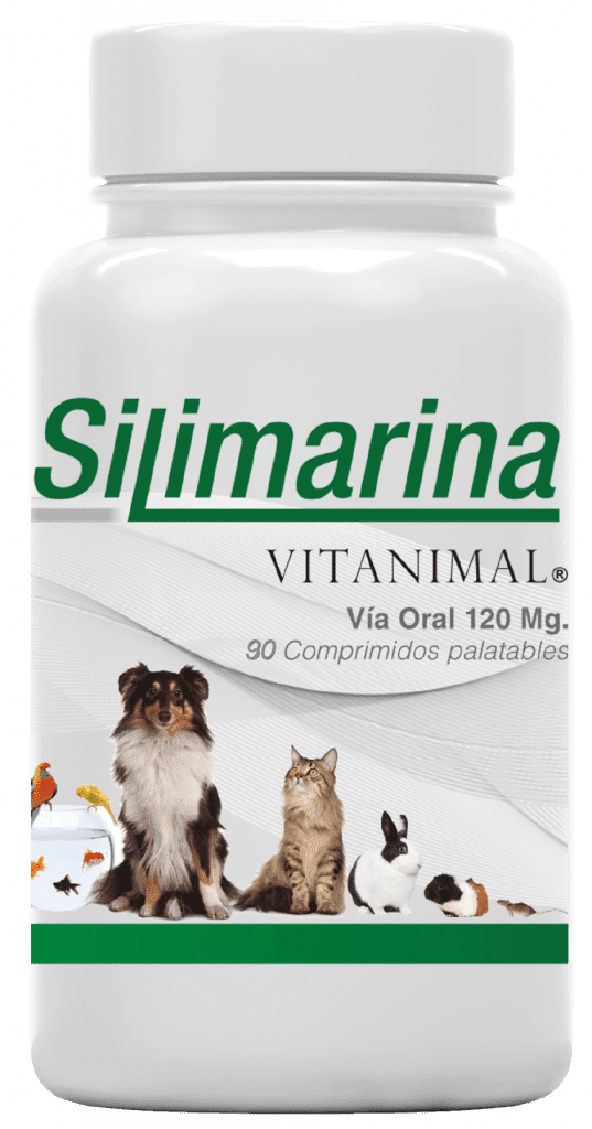 Silimarina 120 Mg Envase 90 Comprimidos