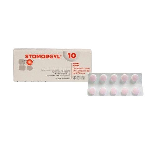 Stomorgyl 10x10 Comprimidos - Imagen 2